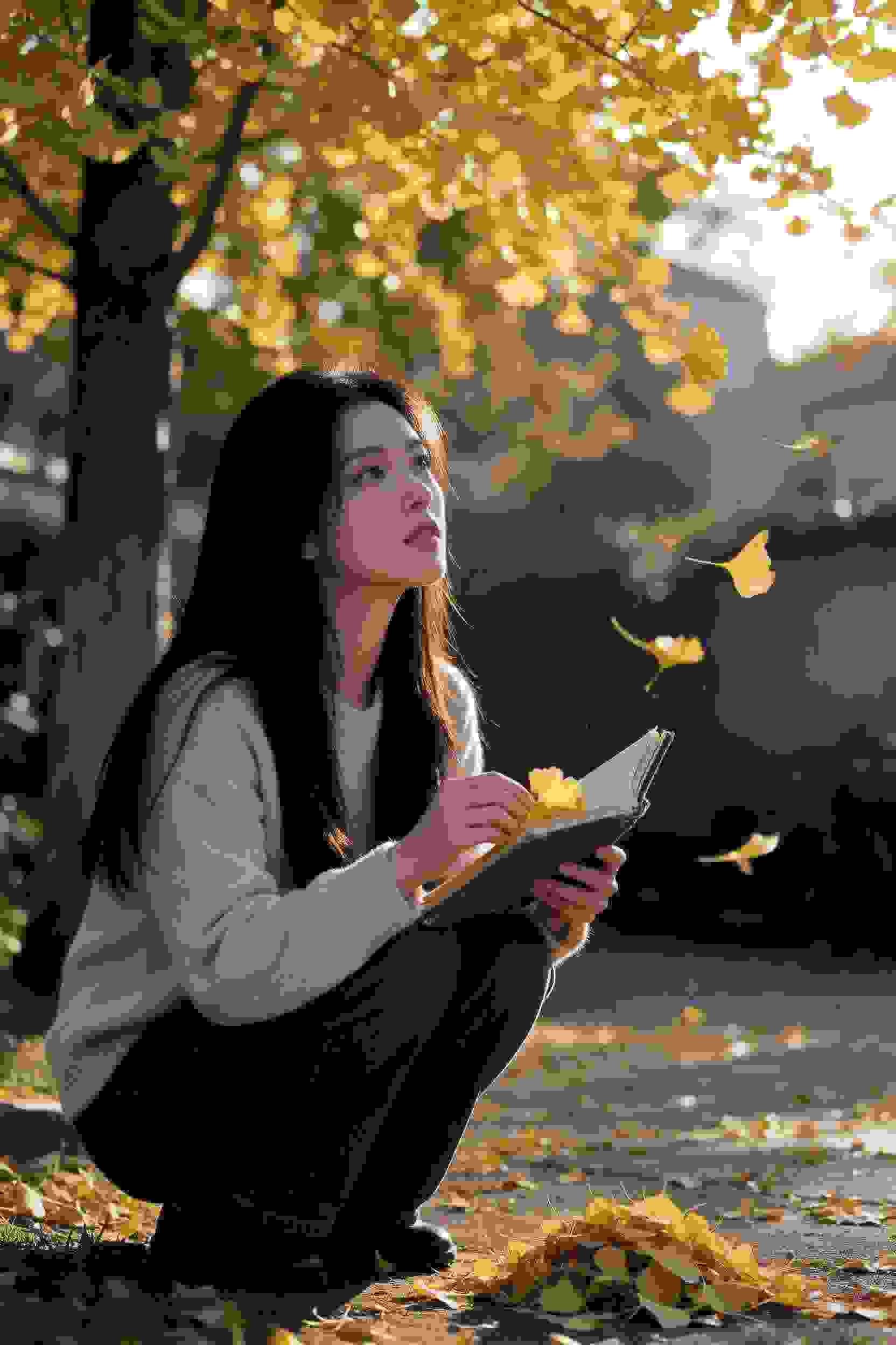 樱花物语