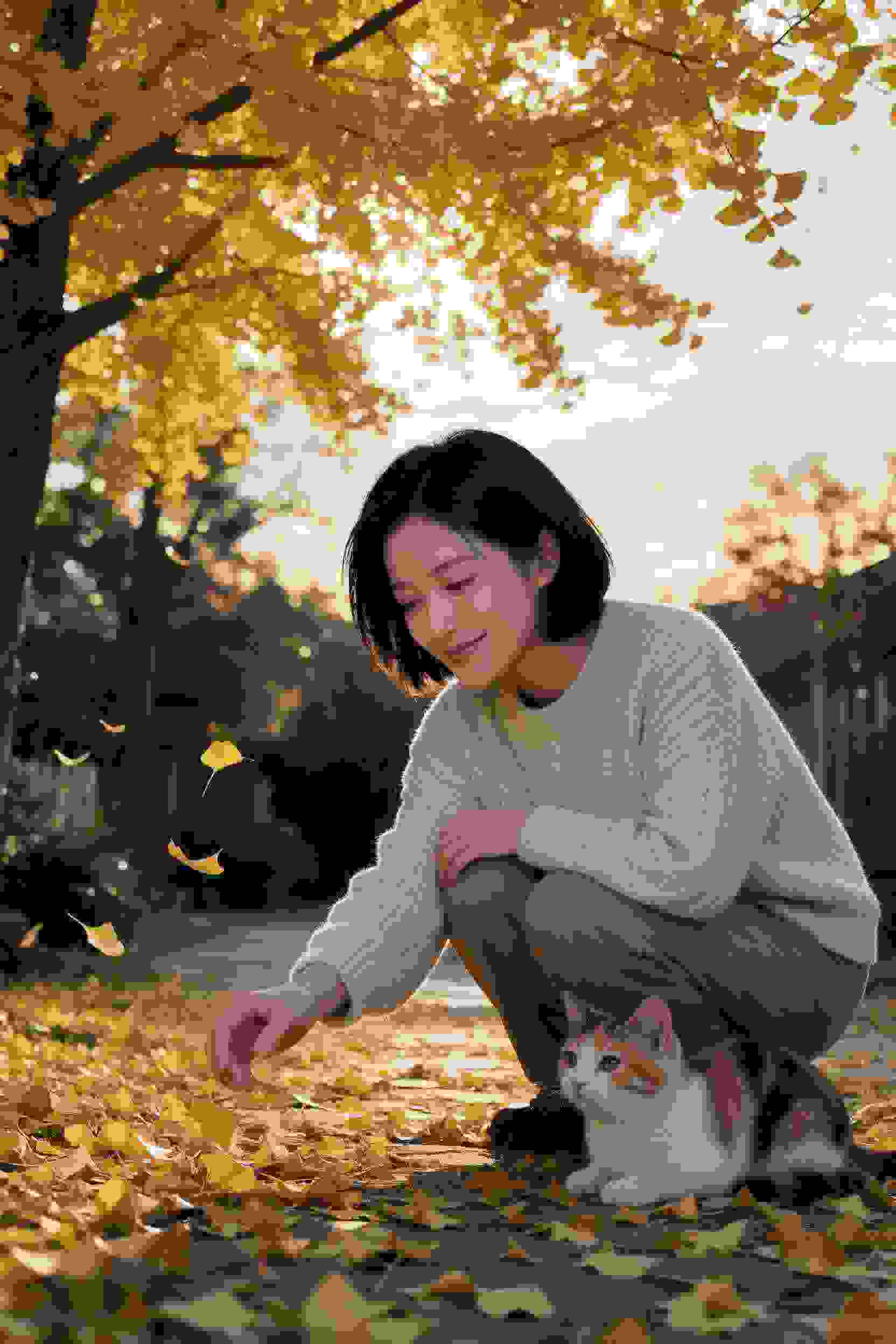 高柳嫁家